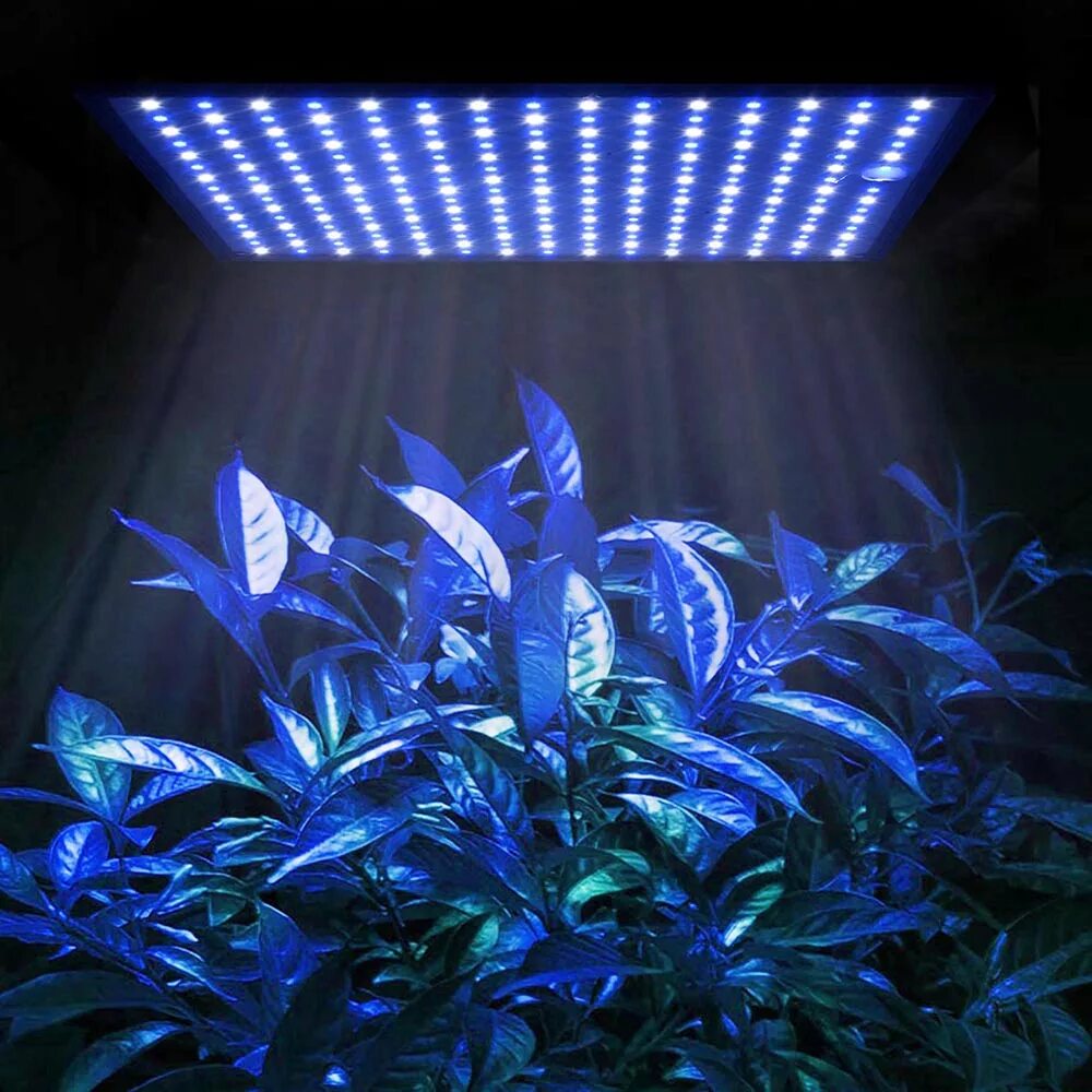 Фитолампа led grow Light. Led Plant grow Light. Светодиодная лампа для растений 14w. Синяя лампа для растений. Светодиодные светильники полного спектра