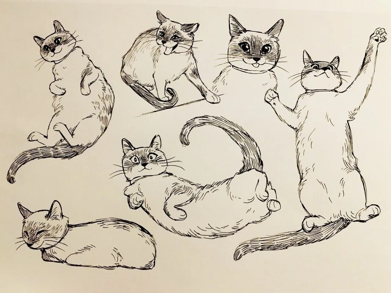 Котики для рисования для начинающих. Как нарисовать кошку. I draw cats. Easiest cats drawing. Рисунки для срисовки котики.