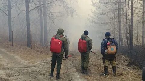 Новости амурской обл и благ