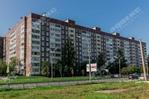 Камышовая улица санкт петербург