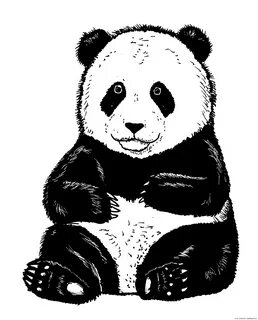 Panda Draw - Desenho de kassuy - Gartic