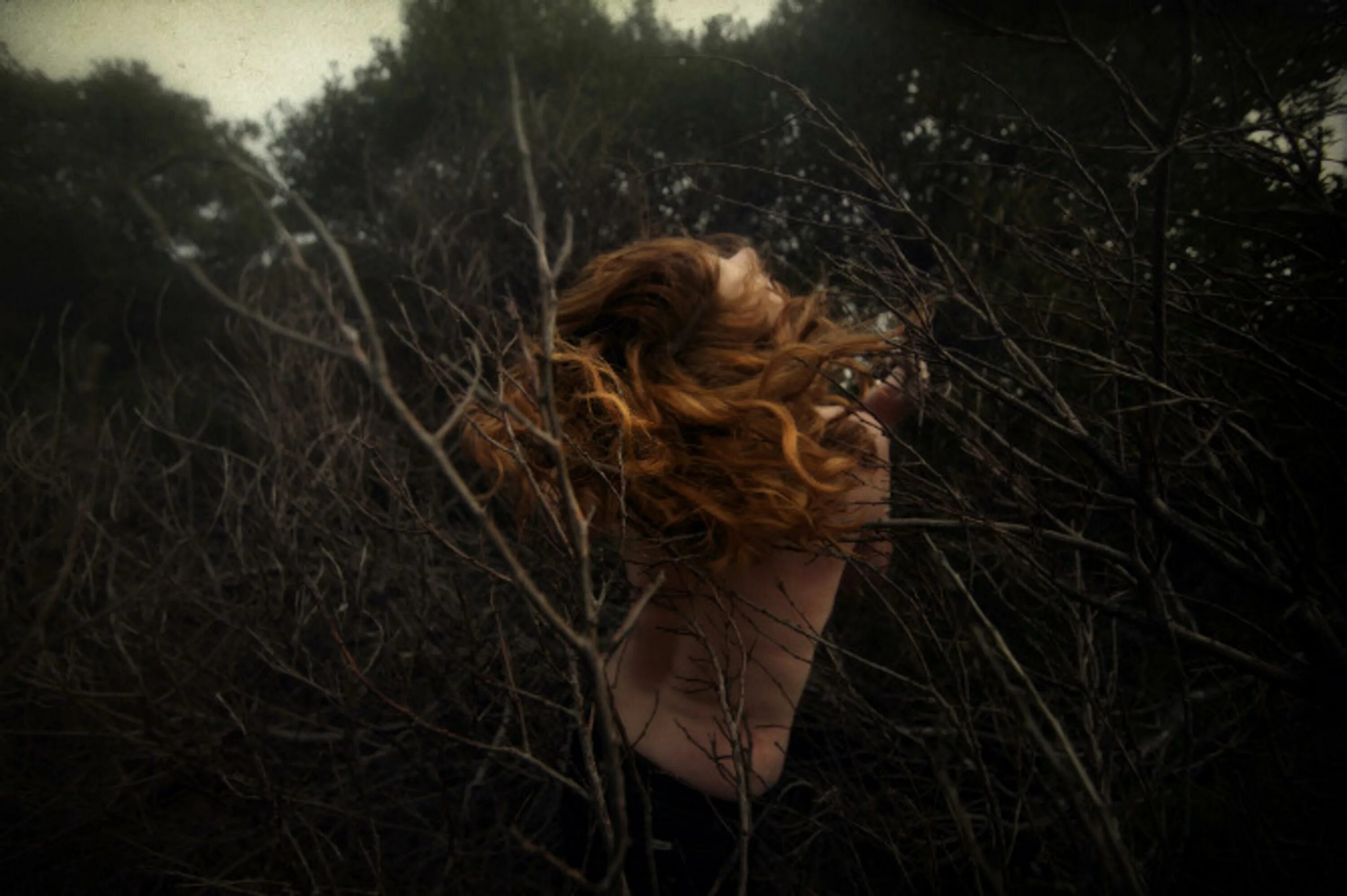 Девушка в лесу Эстетика. Девушка на природе Эстетика. Девушка в тумане. Рыжий лес.