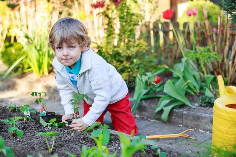 Бабушка с рассадой. Planting Flowers. Девочка маленькая с граблями садит помидоры. Planting boy