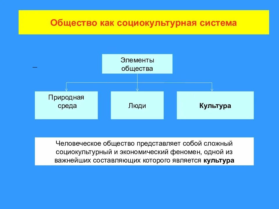 Общество как социокультурная система. Социальная культура общества. Общество как социально - культурная система. Элементы общества как системы. Материальные элементы общества