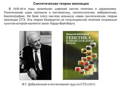 Стэ биология