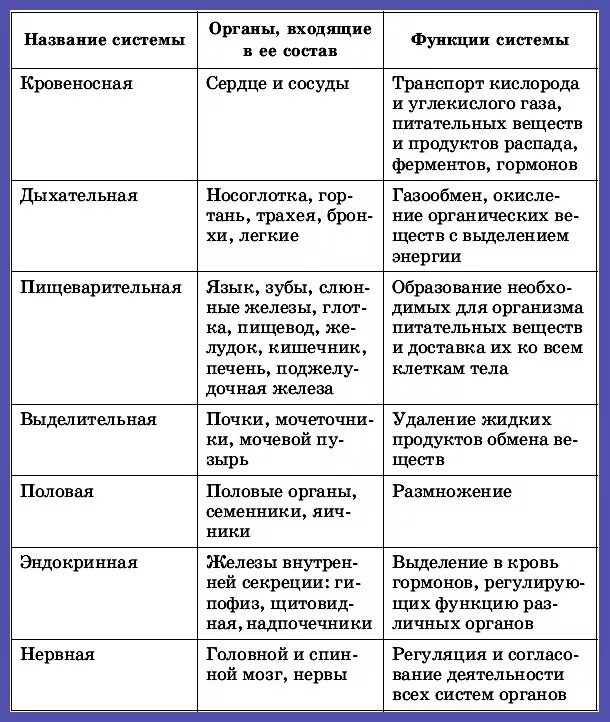 Особенности строения животных и человека