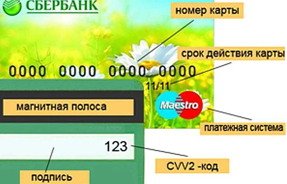 Что находится на банковской карте. Номер карты. Карта Сбербанка номер карты. Где находится номер карты на карте. Номер банковской карты Сбер.