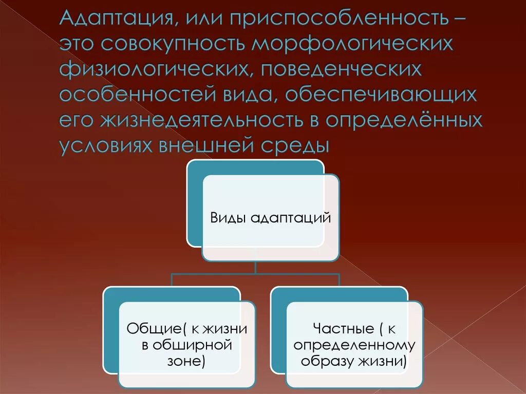 Адаптация это совокупность. Морфологические физиологические и поведенческие адаптации. Адаптирование или адаптация. Общая адаптация. Общая и частная адаптация.