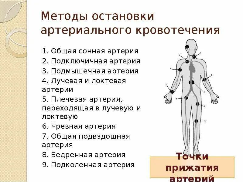 Какой способ остановки артериального кровотечения наиболее. Способы остановки кровотечения артериального кровотечения. Способы остановки кровотечения артериального артерии. Способы остановки кровотечения при артериальном кровотечении. Способы остановки кровопотер.