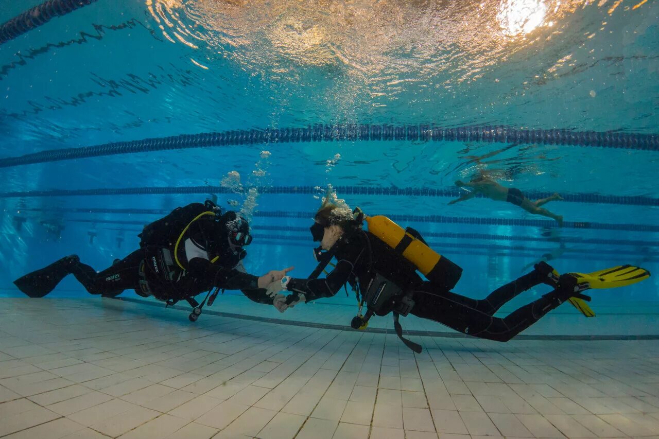 бадди партнер дайвинг. шарм-эль-шейх подводный мир diving. развлечения развлечение дайвинг. скуба-дайвинг, scuba-diving погружение. скуба акваланг.