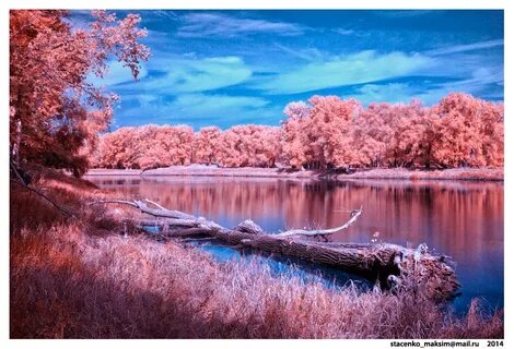 Река кисельные берега