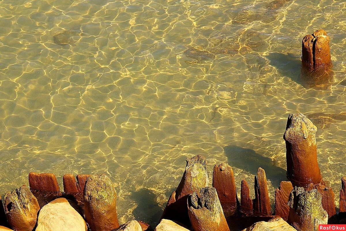 солнечный зайчик на воде. солнечный зайчик на воде. блики солнца на воде. отражение солнца в луде. озеро берег солнечные зайчики.
