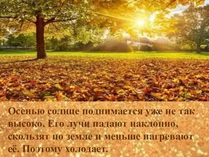 Чем выше поднималось солнце тем выше