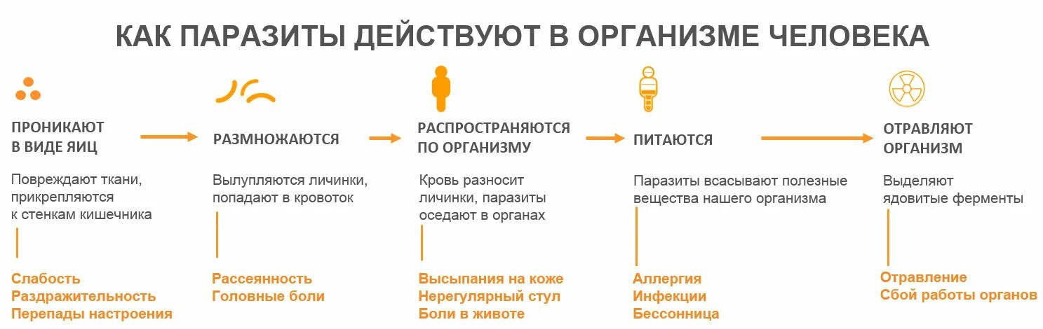 Симптомы паразитов у взрослого человека. Паразиты в организме человека симптомы. Как определить паразитов в организме. Как понять что в организме паразиты.