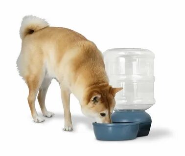Self pet none позволяет