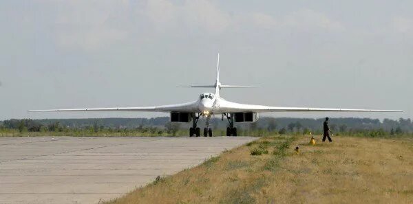 Белый лебедь самолет ту 160. Белый лебедь 12. Белый лебедь. Белый лебедь донецк. Черноголовые лебеди.