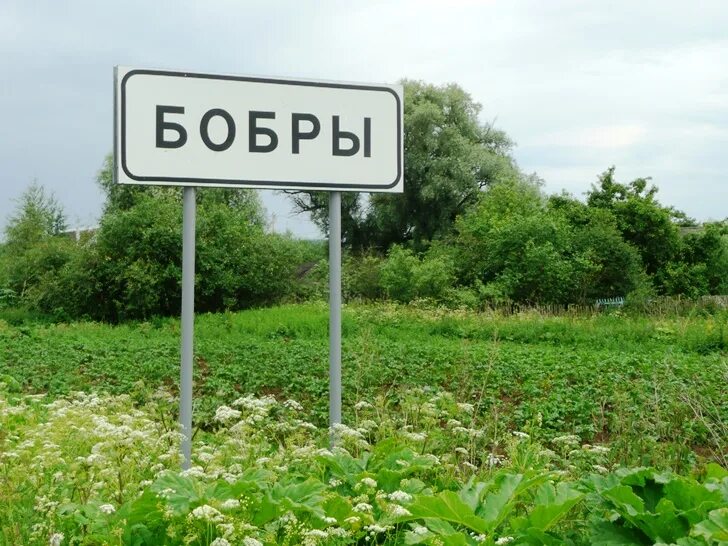 Высокая точка в Калининграде. Исток Москвы. Липуниха (Можайский район). Самая высокая точка в Московской области Можайск.