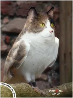 Которых не существует как