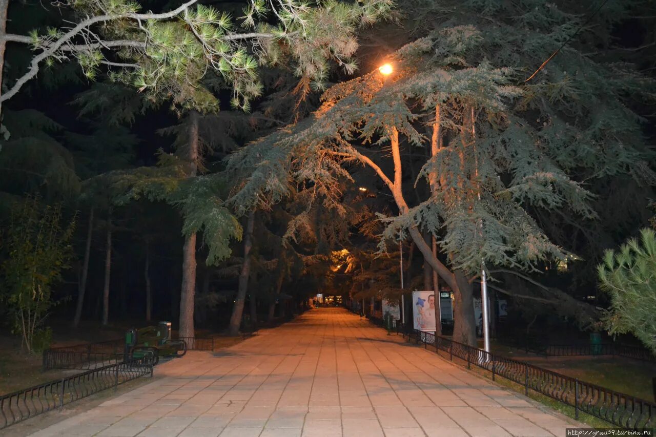 Алушта парк фото. Приморский парк алушта. центральный парк алушта. центральная аллея приморский парк алушта. алушта парк горького.