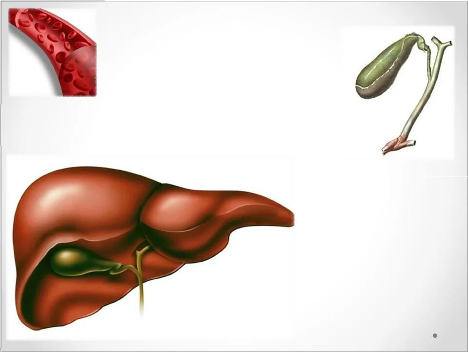 Билирубин в печени. Желчь красивый рисунок.