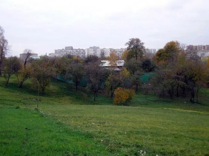 Ленино царицыно. Царицыно ул Баженова. Царицыно, Крестьянская улица (Баженова).. Поселок Ленино Царицыно. Ленино-дачное Москва.