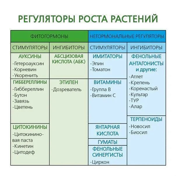 Гормоны роста растений ауксины гиббереллины цитокинины. Фитогормоны ингибиторы роста растений. Фенольные ингибиторы роста растений. Регги регулятор роста для рассады. Фитогормоны ингибиторы роста растений.