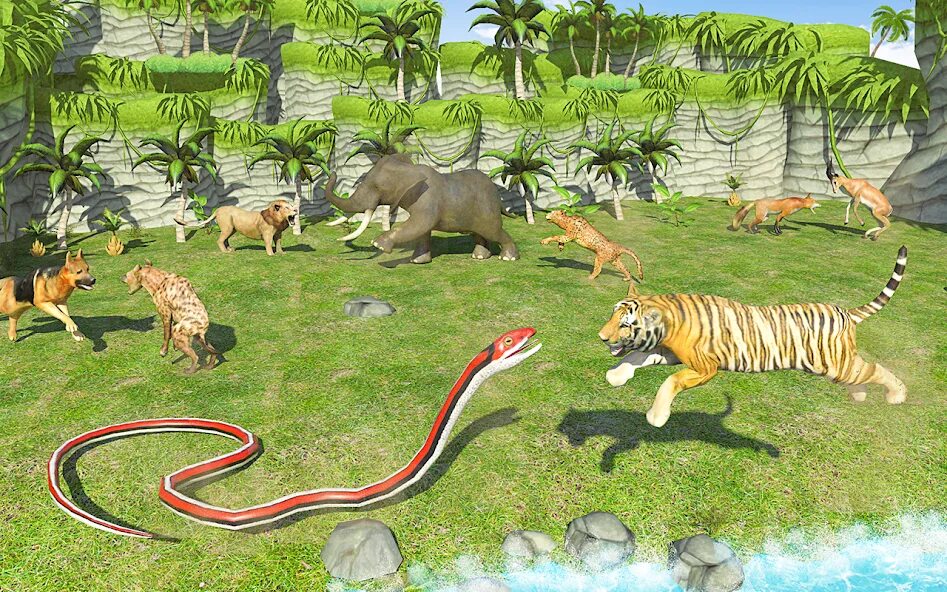 Игры реальной животных. Игры реальной животных