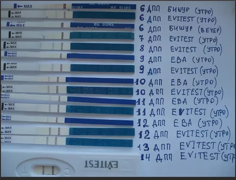 Тянет живот после эко. Тест на беременность 5 дней после подсадки. Тест на беременность после подсадки эмбрионов. Эко тесты на беременность после переноса эмбриона. Тесты на беременность после криопереноса по дням.