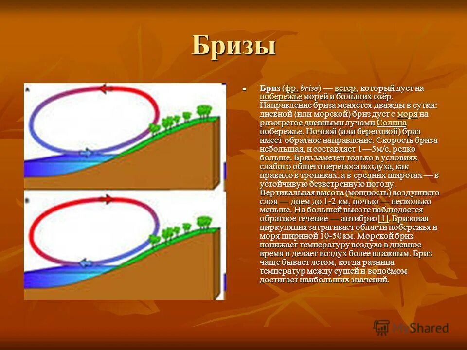 В каком направлении дует ветер. Направление дневного и ночного бриза. В каком направлении дует бриз. В каком направлении дует бриз. Дневной и ночной бриз.