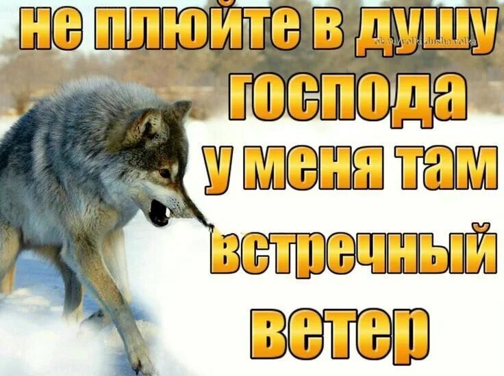 Никому нельзя верить цитаты. Ты не верь словам все вернется. Бумеранг цитаты. Статусы про бумеранг. Только действия человека говорят о его отношении к вам не верьте.