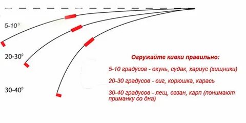 Как правильно подобрать кивок