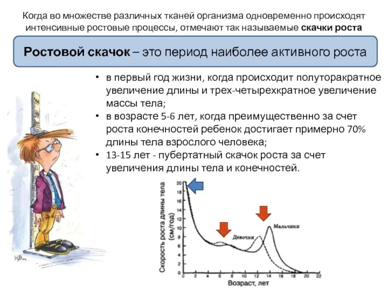 Когда останавливается рост. Скачки роста у детей. Скачки роста у подростков мальчиков. Когда у детей скачок роста. Интенсивные ростовые процессы организма ребенка наблюдаются:.