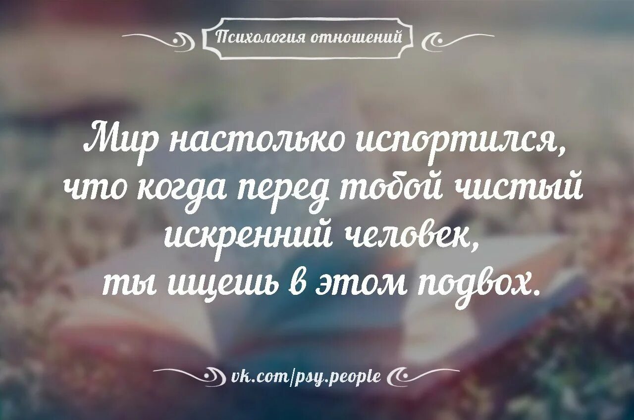 Цитаты про преданность. Цитаты про отношения. верность цитаты. высказывания про верность. отношения цитаты высказывания.