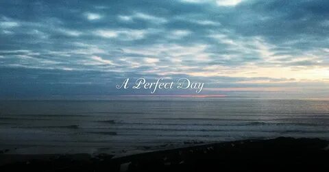 Perfect day
