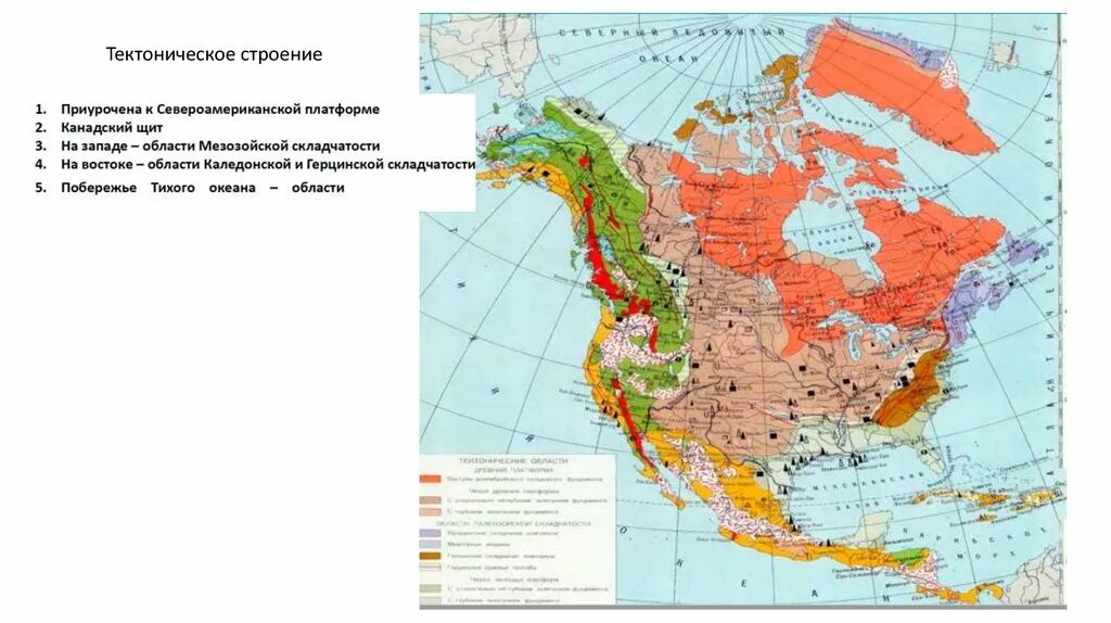 Какой тектонической структуре. Тектоническая карта Северной Америки. Тектоническое строение Северной Америки карта. Тектоническая карта Северной Америки 7 класс. Тектоническое строение Северной Америки 7 класс.