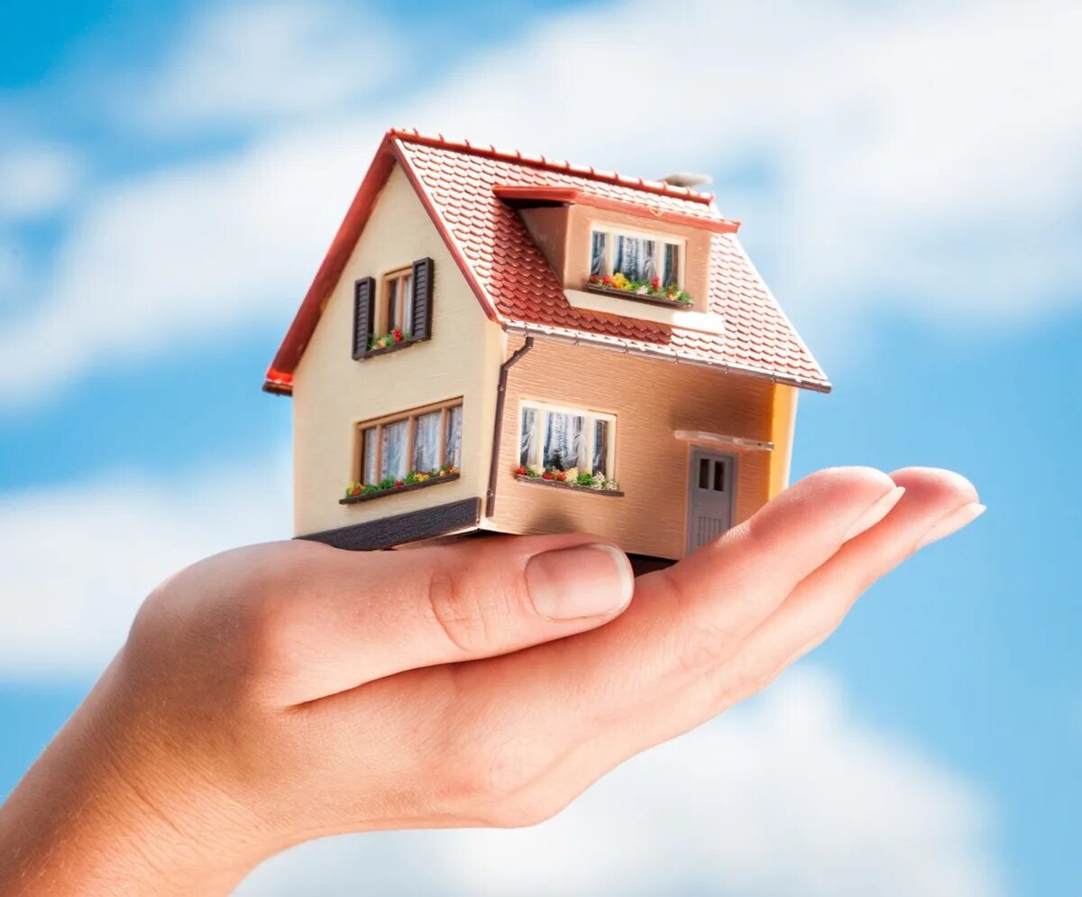 Основные средства застройщика