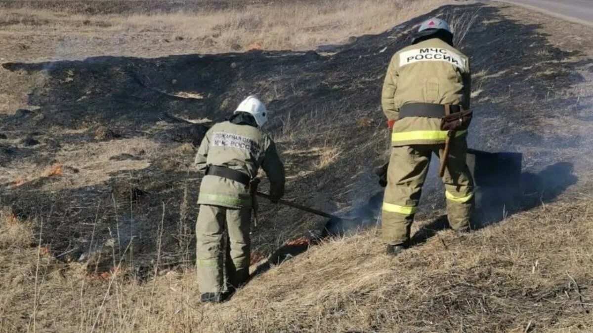 Новости курской области за сутки. Пожар в Банищах Курской области. Пожары в Курской области за последние сутки. Пожары в Курской области за последние 3 дня. Горение сухой травы в Курчатовском районе.