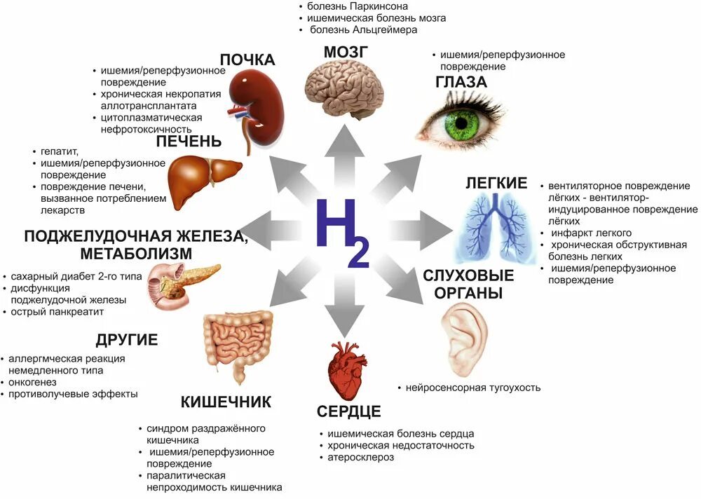 Влияние водорода на человека. Действие водорода на организм. Роль водорода в организме. Недостаток водорода в организме. Водород в живых организмах