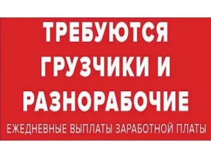 Грузчики разнорабочие с ежедневной оплатой