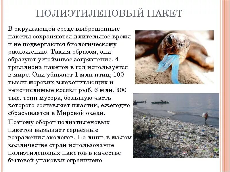 Вреден ли полиэтилен. Вред от полиэтилена для окружающей среды. Полиэтиленовый пакет. Пластиковые пакеты вредны для экологии. Солевые повязки на грудь отзывы.