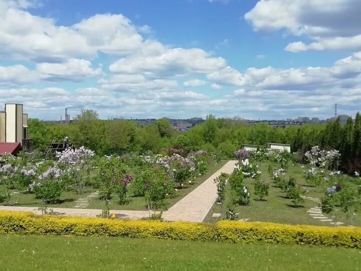 Где находится комплекс сирень в белгороде. Где находится комплекс сирень в белгороде