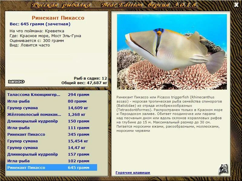 Реальная рыбалка рыба игла. Рыба игла размеры. Реальная рыбалка рыба игла. Сарган рыба тайланд. Длиннорылый скат.