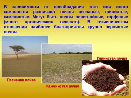 К какой природе относится почва