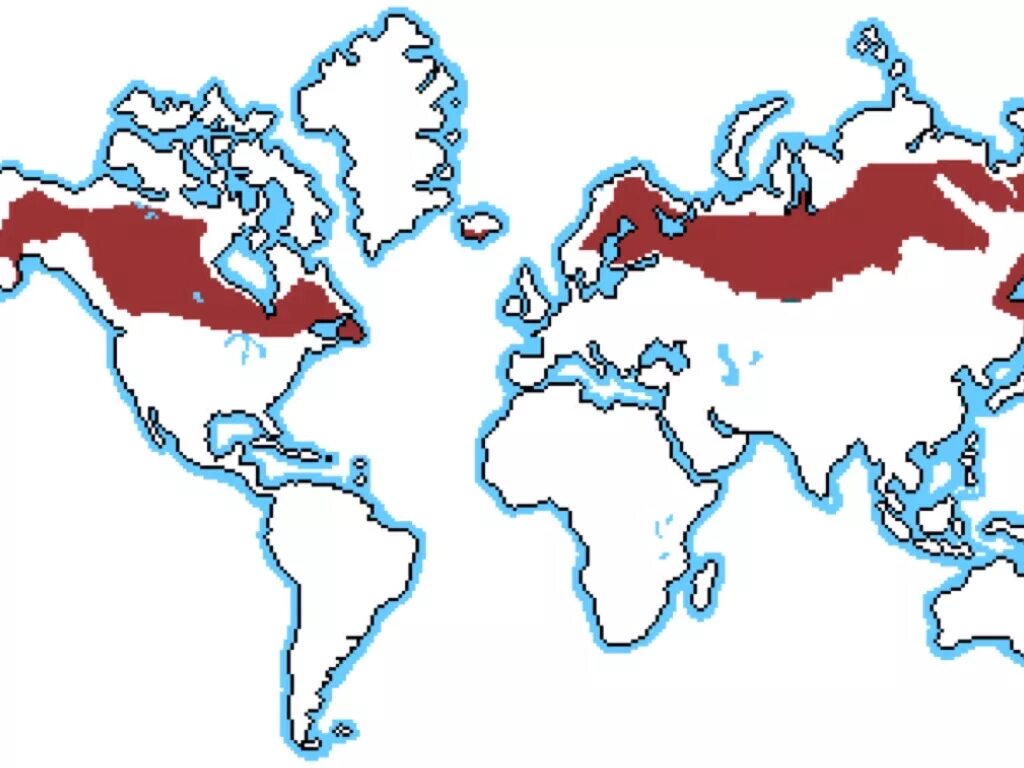 Ареал обитания оленей в России. Северный олень ареал обитания в России. Ареал Северного оленя. Бореальный ареал. Ареал распространения оленьих пастбищ