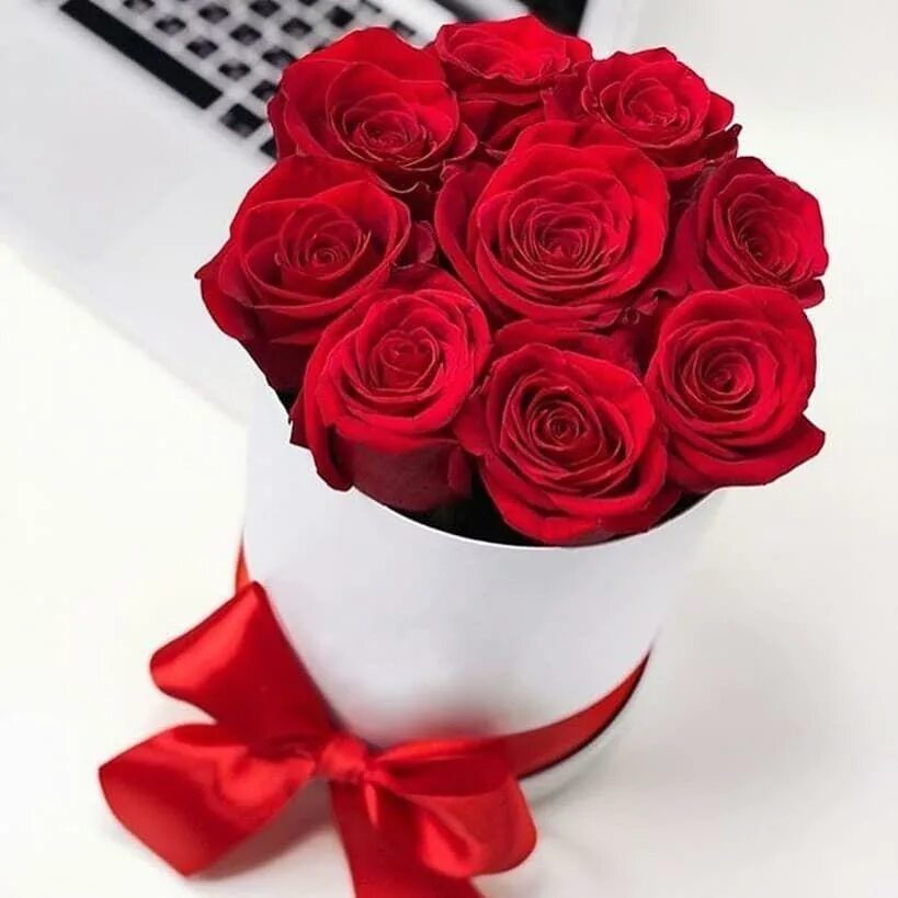Цветочный черкесск. Красные розы в коробке. Красные розы в белой коробке. Коробка с красными розами. Красные розы в коробочке.