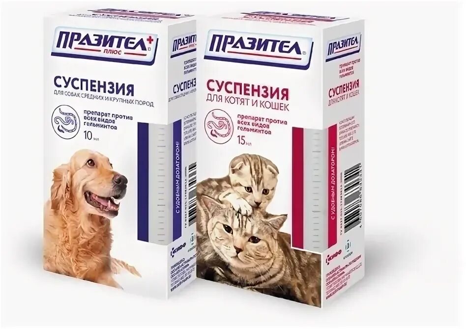 Как проглистогонить собаку. Празител суспензия для собак. проглистогонить кошку препараты. антигельминтные препараты для собак и кошек празител. антигельминтик для собак.