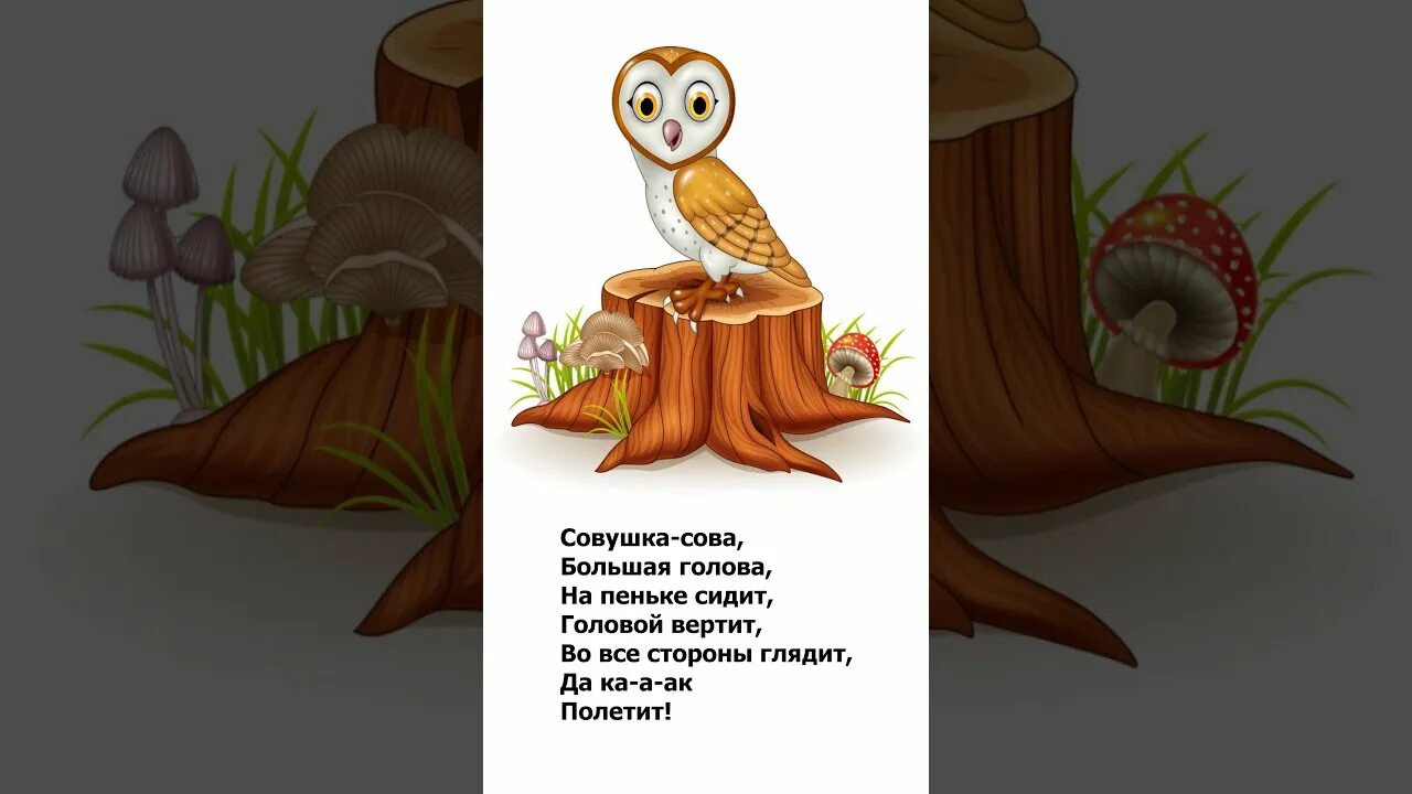 Совушка сова большая голова текст. Потешка совушка сова. совушка сова большая голова. совушка-сова большая голова потешка. сова большая голова.