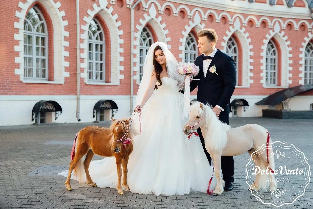 Свадебное агентство москва elizabeth wedding ru. Петровский путевой дворец бракосочетания. Петровский путевой дворец дворец свадьба. Свадьба в Петровском путевом Дворце. Ресторан Карамзин Петровский путевой дворец.