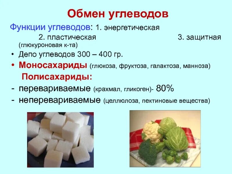 Функции сахарозы. Депо углеводов. депо углеводов в организме человека. обмен углеводов функции. гликоген депо углеводов.