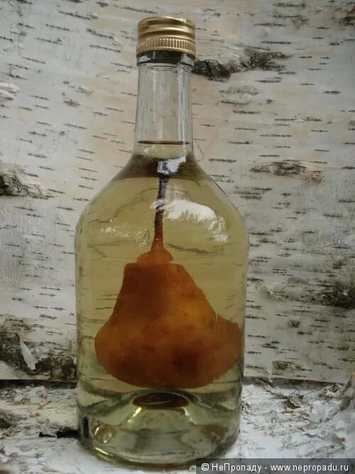 Что налито в этой бутылке. Груша в бутылке. бутылка с грушей внутри. шнапс с грушей в бутылке. бутылка с фруктами внутри.